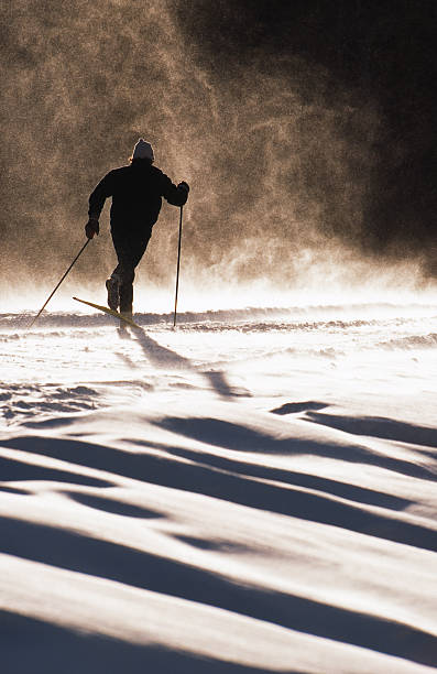 クロスカントリースキー - mens cross country skiing ストックフォトと画像