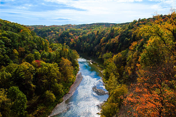 letchworth 州立公園で秋 - letchworth state park ストックフォトと画像