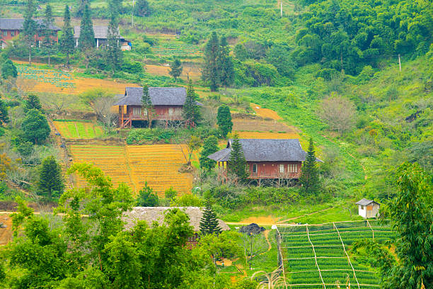istock Beautiful View of mountains contain terraced fields 478951718