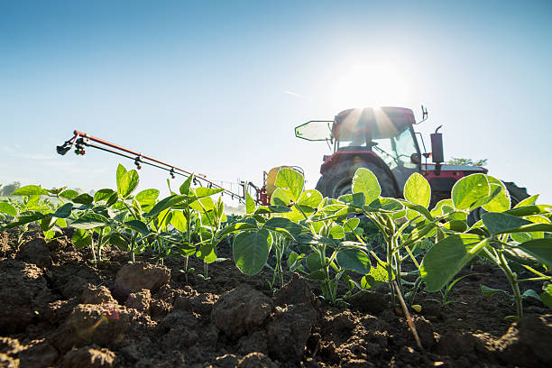 colture di trattore spraying soia con pesticidi ed erbicidi - spraying agriculture farm herbicide foto e immagini stock