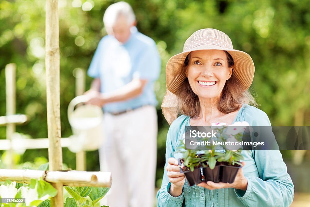 Senior Woman Holding Potted Plants While Man Watering In Garden Portrait of happy senior woman holding potted plants while man watering in background at garden. Horizontal shot. 2015 Stock Photo