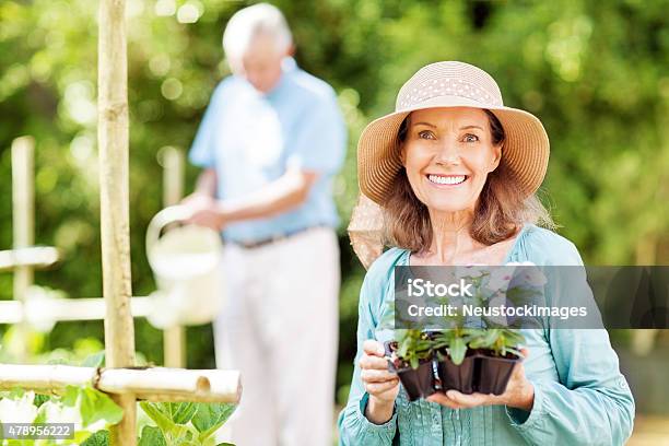 Senior Woman Holding Potted Plants While Man Watering In Garden Stock Photo - Download Image Now