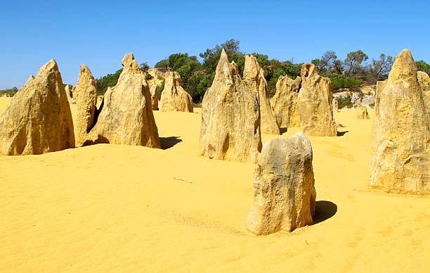 istock Pinnacles, Nambung National Park, Western Australia 478958568