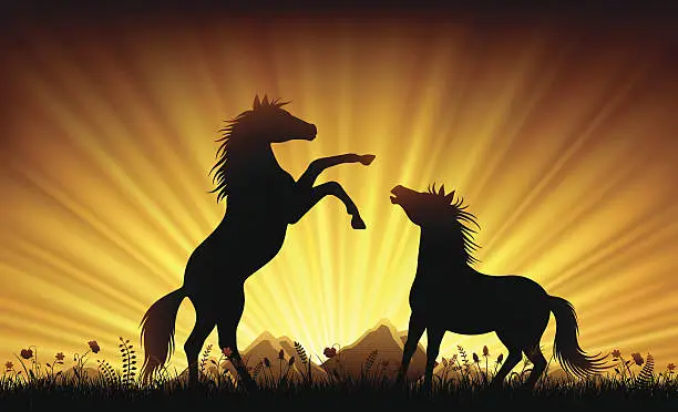 Vector illustration of Wild Horses in Sunset