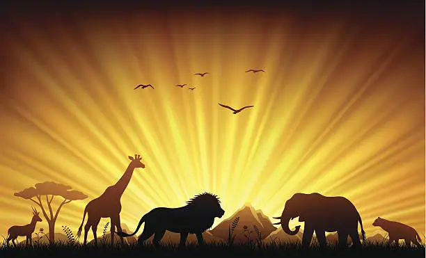 Vector illustration of African Animals in Sunset