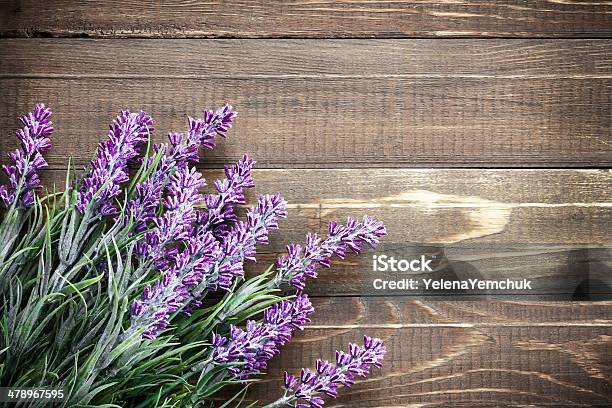 Lavender Stock Photo - Download Image Now - Affectionate, Backgrounds, Beauty