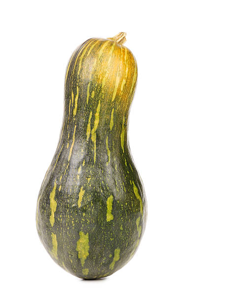 istock close up of small green pumpkin 478969257