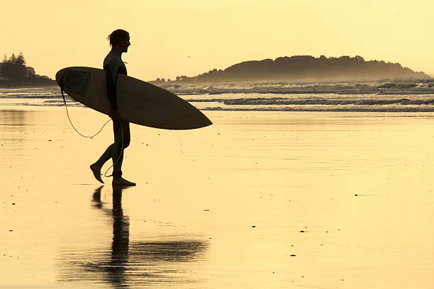 istock Surfer at sunset on the beach 478971284