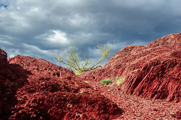 Photo of Place of worship for Altai heathens