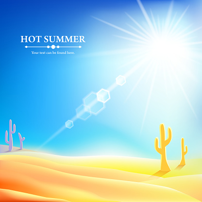 Sunlit desert. Cacti. Hot summer.