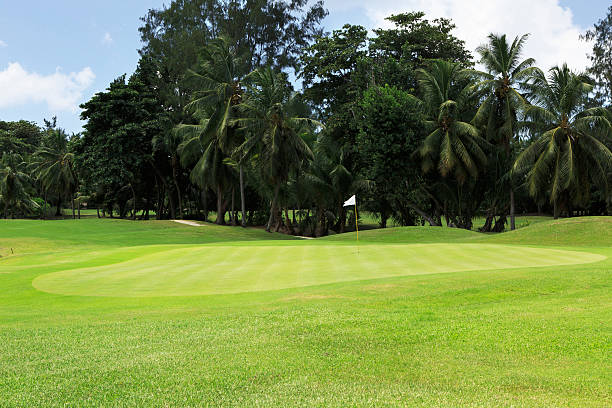 istock Golf course at the Constance Lemuria Resort 478974976