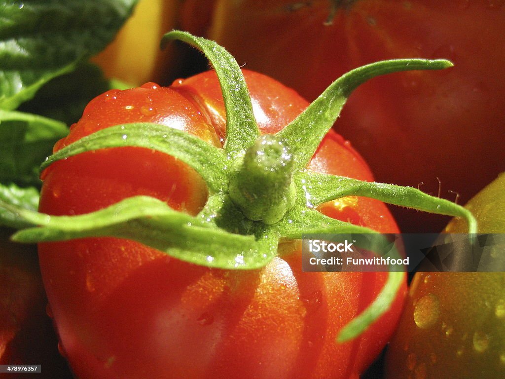 Яркий красный Негибридный томат фоне - Стоковые фото Базилик роялти-фри