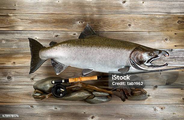 Large Salmon And Fishing Gear On Rustic Wood Stock Photo - Download Image Now - Fishing, Fishing Industry, Trophy - Award