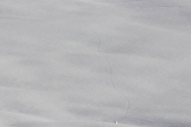 istock Pure White Snow with Shadow and Glitter Effects, Winter Scenery 478978599