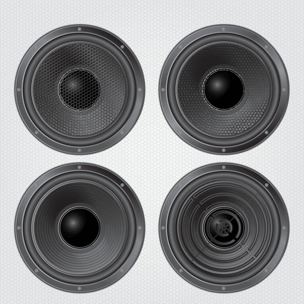 Audio speaker Different Audio speakers set on a grille background. Subwoofer, front view. Vector illustration. freshwater bass stock illustrations