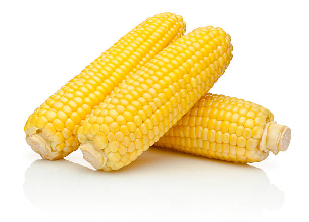 그대로의 달달한 옥수수 kernels 흰색 배경의 격리됨에 벗겨낼 - corn on the cob macro corn crop freshness 뉴스 사진 이미지