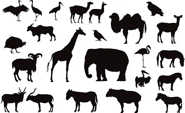 Vector illustration of Various animals silhouettes isolated on white