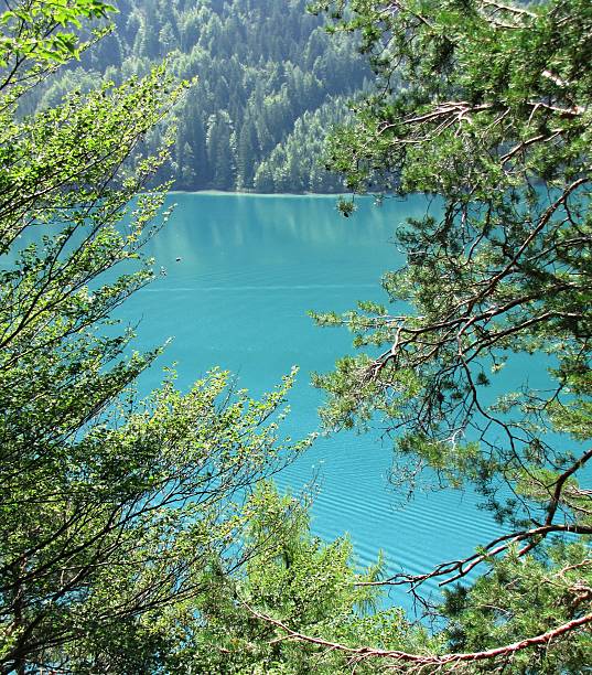 istock Lake Weissensee, Carinthia, Austria 478982454