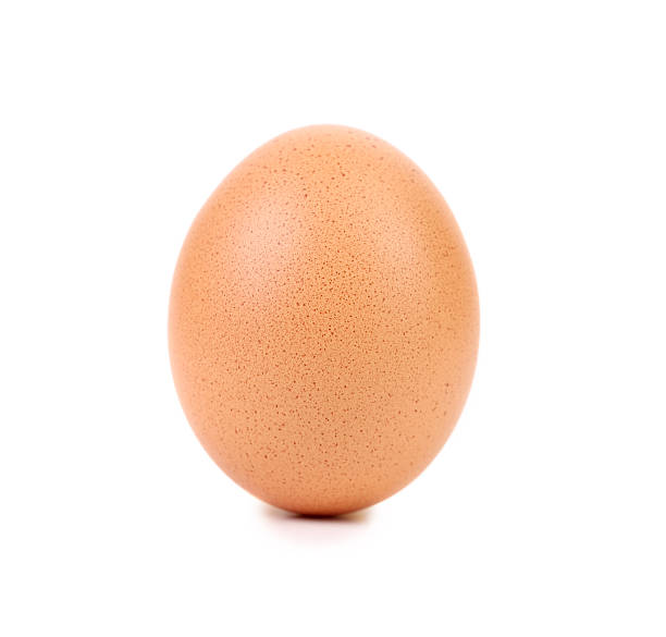 istock close up of  Brown egg 478984951