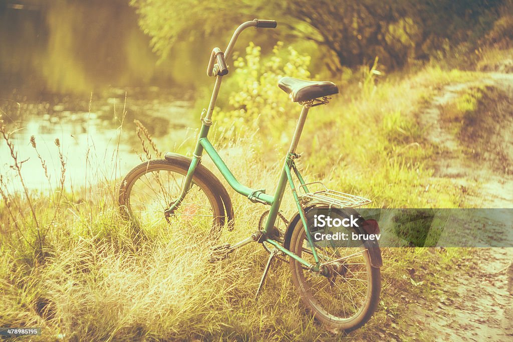 Kleinen grünen Fahrrad auf grünen Sommer-Wiese - Lizenzfrei Altertümlich Stock-Foto