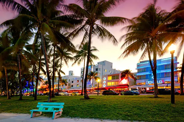 Photo taken at night, on Miami Beach, with famous art deco hotels on background and palm trees.