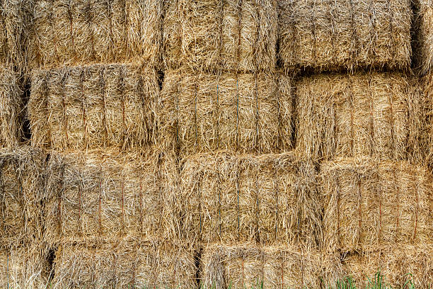 istock wall surface of the straw bales 478985745