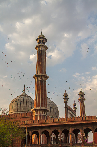 Mosque,India,travel,