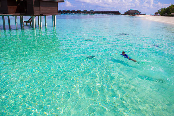 istock Young man snorkeling in clear tropical turquoise waters 478991446