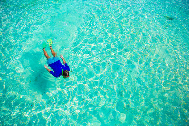 istock Young boy snorkeling in tropical turquoise ocean 478991450