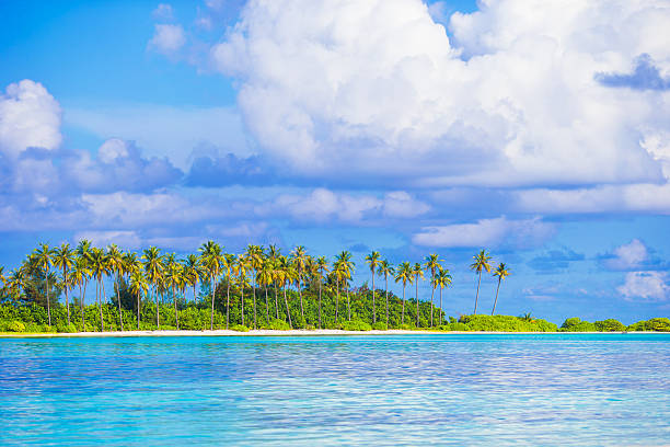 istock Beautiful green tropical island in Indian ocean 478991476