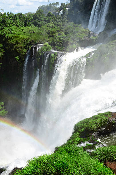 istock Iguazu Falls in Argentina and Brazil Border 478993321