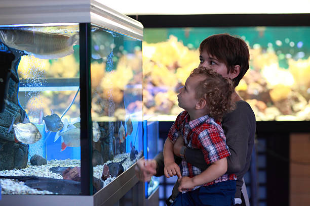 istock Family at aquarium 478995806