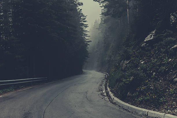 istock Winding road in a misty forest 478996458