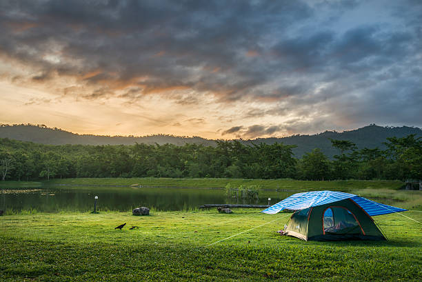 turista tenda in campeggio tra prato nel parco nazionale - house wood dirt road footpath foto e immagini stock