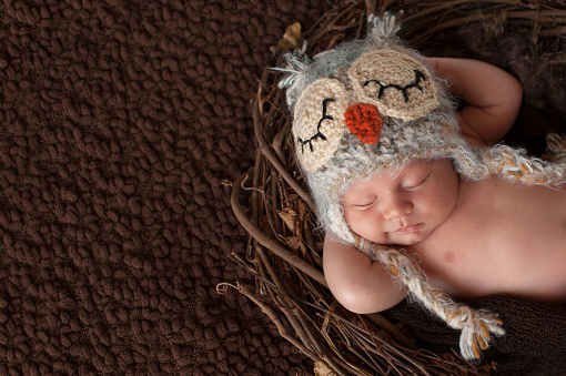 Three week old, smiling, newborn baby boy wearing a crocheted owl hat and sleeping on his back in a nest.