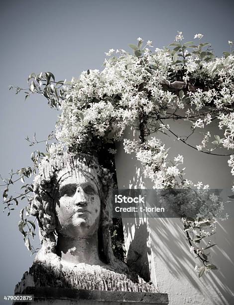 Magic Giardino - Fotografie stock e altre immagini di Coperto di vegetazione - Coperto di vegetazione, Statua, Appassito