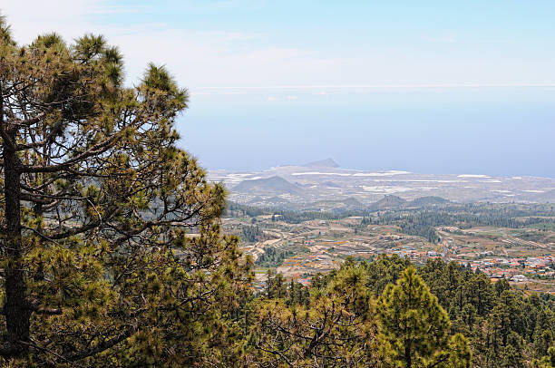 istock aerial view over Teneife 479003505