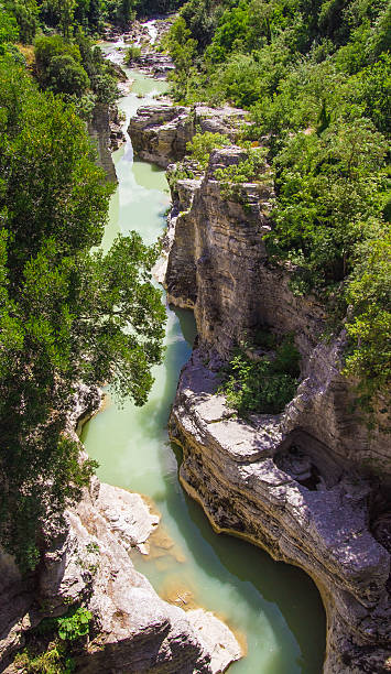 istock Canyon on the Metauro River 479008694