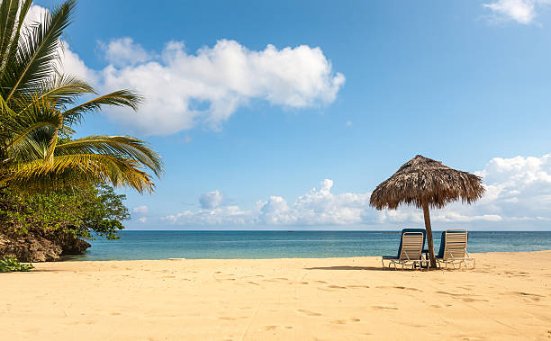 istock Sunbed and umbrella on a tropical beach 479008738