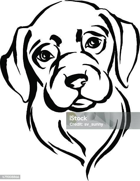 Hand Drawn Portrait Of Dog Labrador Black And White Stock Illustration - Download Image Now