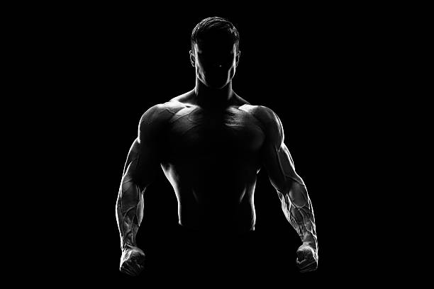 Silhouette of a strong fighter Silhouette of a strong fighter. Confident young fitness man with strong hands and clenched fists. Dramatic light. muscle stock pictures, royalty-free photos & images