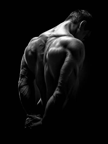 잘생긴 근육질의 bodybuilder 다시 - human muscle back muscular build men 뉴스 사진 이미지