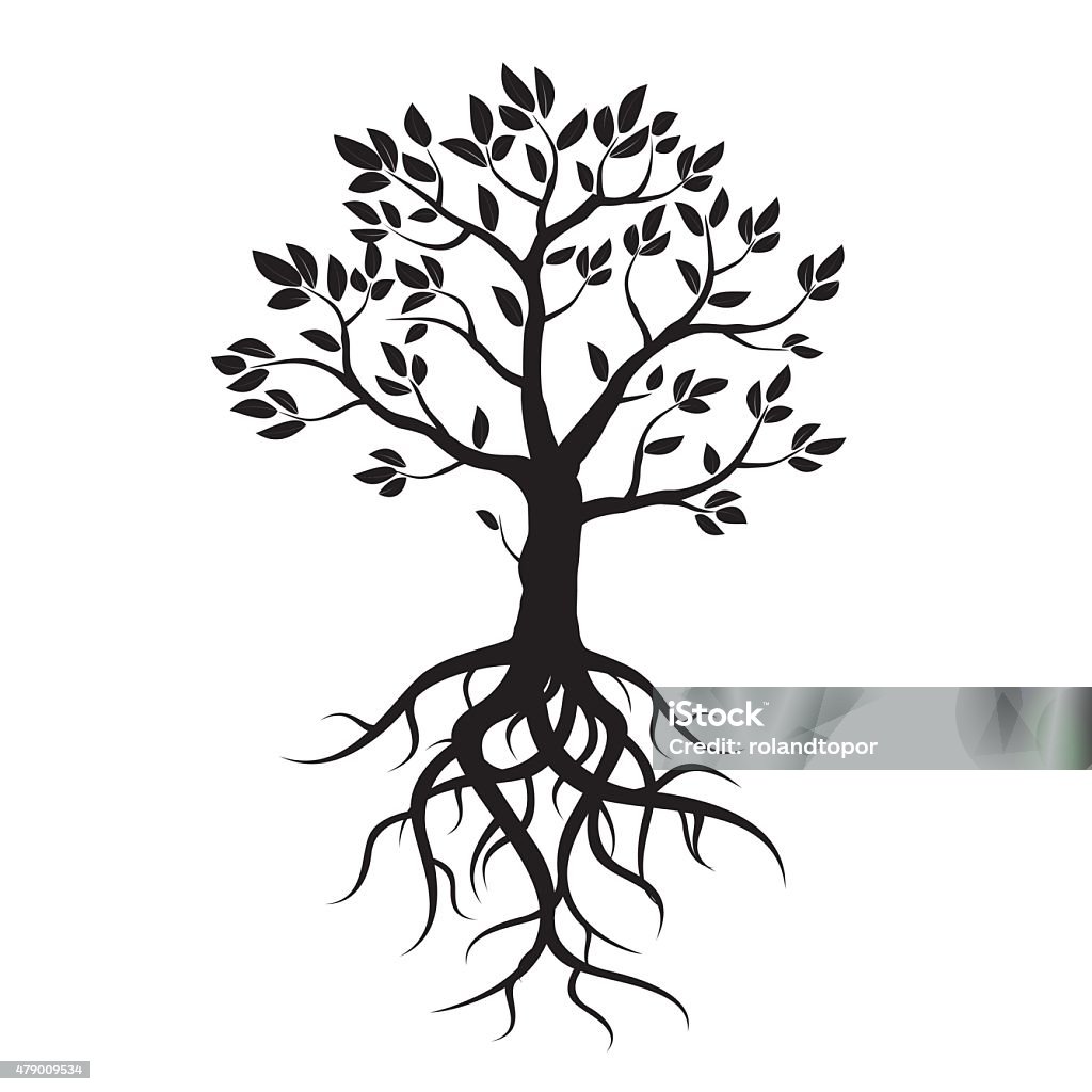 Black vector tree, leafs and roots. Black tree with leafs and roots. Vector Illustration. Origins stock vector