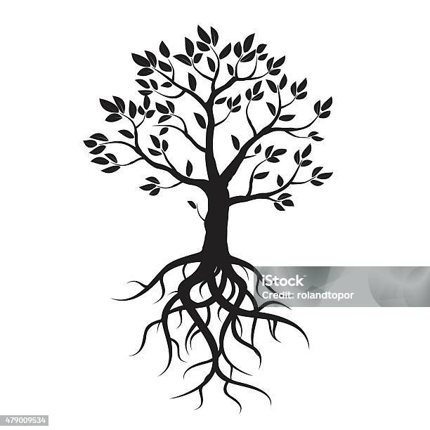 Black Vector Tree Leafs And Roots Stock Illustration - Download Image Now - Origins, Tree, Root