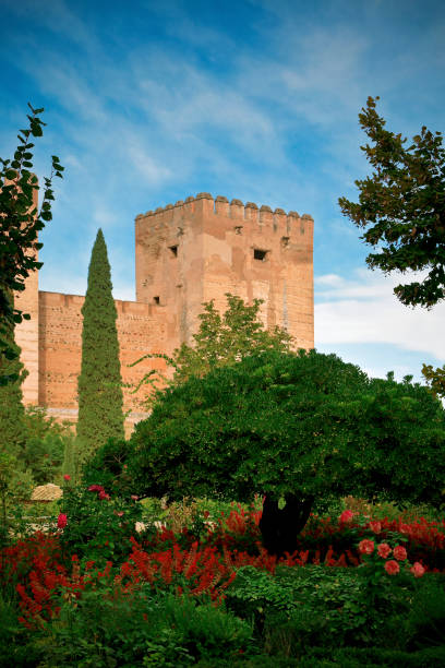 istock the alhambra gardens 479011901