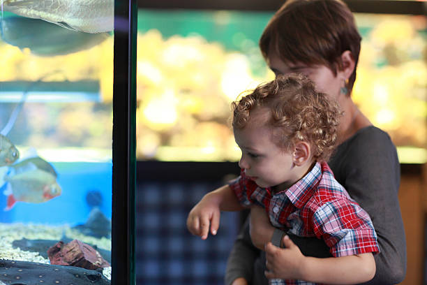 istock Mother and child watching fishes 479013190