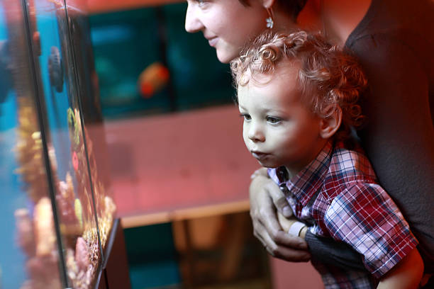 istock Mother and toddler at aquarium 479013208