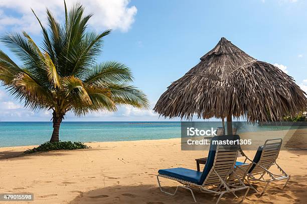 Sunbed And Umbrella On A Tropical Beach Stock Photo - Download Image Now - 2015, Backgrounds, Bay of Water
