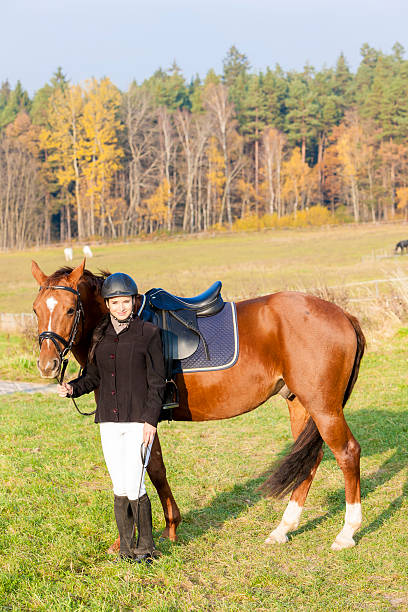 equestre - horsewhip foto e immagini stock