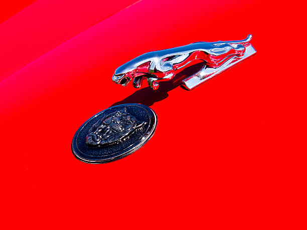 Herceg Novi, Montenegro - November 24, 2011: Jaguar sculpture on hood of Jaguar XK 2008 model. Rain drops on shiny metal, reflection on the hood